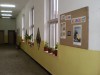 ОУ Д-Р ПЕТЪР БЕРОН