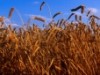 ПОТРЕБИТЕЛСКА КООПЕРАЦИЯ НАПРЕД