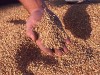 ЗК ЗА ПРОИЗВОДСТВО И УСЛУГИ - ГОРАЗД