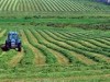 ЗK ЗА ПРОИЗВОДСТВО И УСЛУГИ НИВА