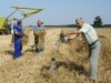 ЗК ЗА ПРОИЗВОДСТВЕНИ УСЛУГИ СОКОЛ