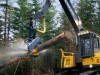 ГОРОВЛАДЕЛСКА КООПЕРАЦИЯ ЧИФЛИКА