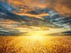 ЗЕМЕДЕЛСКА КООПЕРАЦИЯ ПРИМОРЕЦ