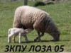 ЗКПУ ЛОЗА - 05