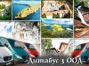 ДИТАБУС 3 ООД