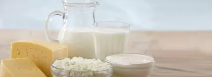 Имдо ООД - производител на традиционни млечни продукти