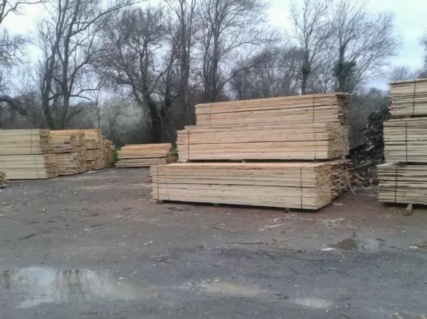 дървен материал и дърводелски услуги царево