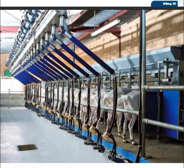 Пендоз ЕООД, Провадия - изграждане и оборудване за животновъдни ферми